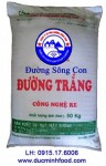 Đường Sông Con